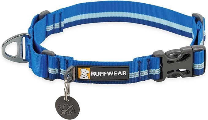 Ruffwear, Web Reaction Martingale Dog Collar, Blue Pool, 23"-26"