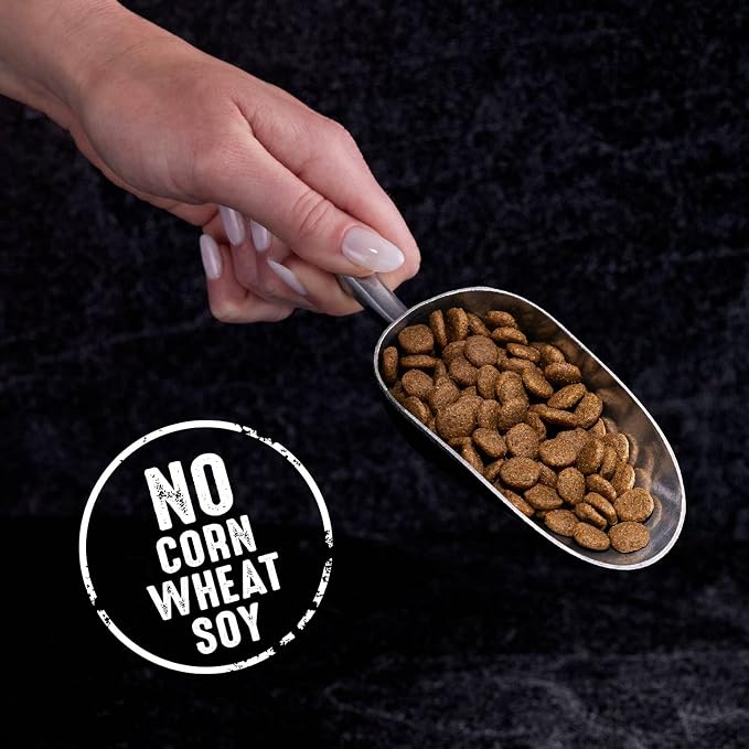 CRAVE Grain Free High Protein Natural Adult Dry Cat Food, Chicken, 10 lb | 40% protein, real chicken #1 ingredient, all natural ingredients, no by-product meal, no corn, wheat, soy, supports muscles