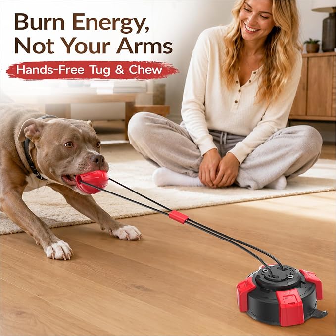 Upgraded Strong Suction Cup Tug of War Dog Toys to Keep Them Busy (Red)