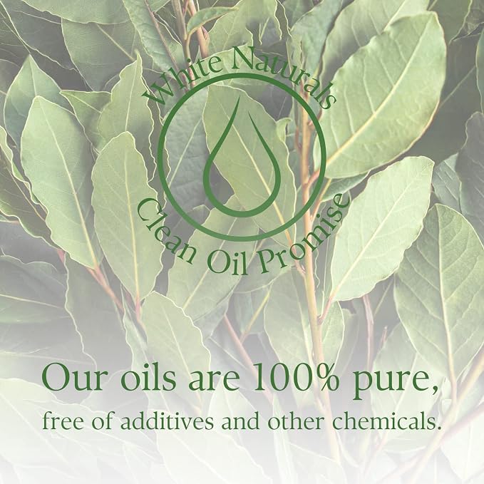 Organic Laurel Leaf Essential Oil, 100% Pure Therapeutic Grade Undiluted Natural/Homeopathic Aromatherapy Scented Bay Essential Oil for Diffuser, Vegan Cruelty-Free 1 oz by White Naturals