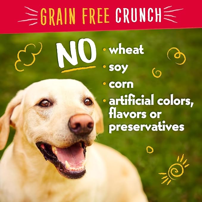 Charlee Bear Crunchy Dog Training Treats, Chicken Pumpkin Apple, 8oz 3-Pack | Low Calorie 3 cal, Grain Free, Natural Mini Treats, For Puppies Small Medium Large Dogs, USA Made