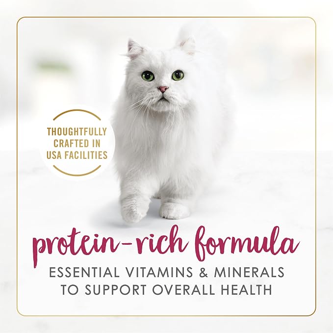 Purina Fancy Feast Wet Senior Cat Food 7 Years Plus Chicken Feast Pate - (Pack of 24) 3 oz. Cans