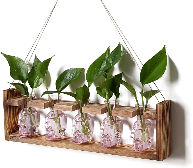 Plant Terrarium Propagation Stations Halloween Skull Planter Vase Skulls | decor With Wooden Stand Gife for Father - 5 Vases