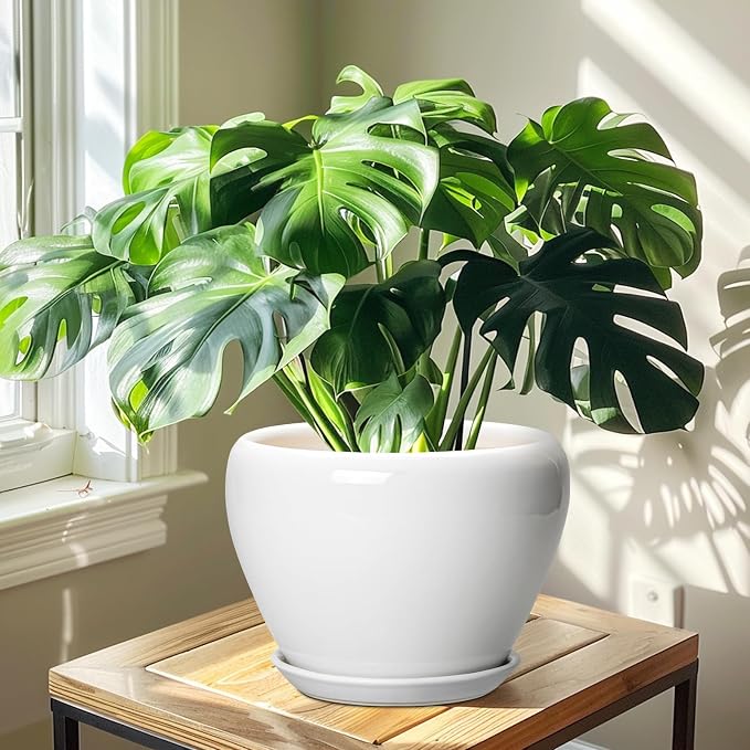Ceramicfor Ceramic Pot for Plants - 10 Inch Planter with Drainage Hole and Saucer, Glaze Modern Round Flower Pot for Indoor Plants, Housewarming Gift, Home Decor, White