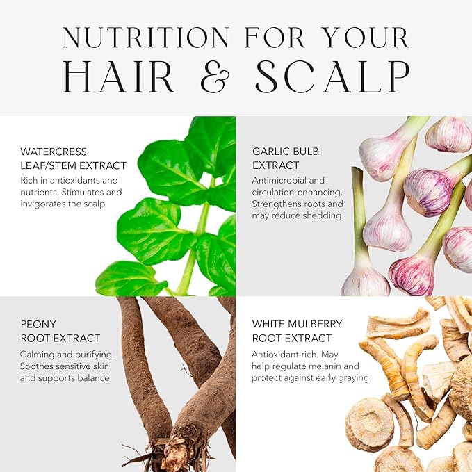 Kiwabi Root Beauté Itchy Scalp Shampoo – Sulfate-Free Natural Shampoo for Dry, Oily & Sensitive Skin – ph-Balanced Scalp Treatment with 23 Botanicals for Hair Growth & Hydration