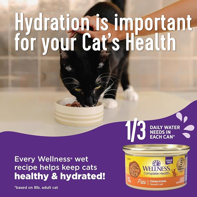 Wellness Complete Health Pate Adult Wet Cat Food,Natural,Protein-Rich,Grain-Free,3 Ounce,(Seafood Favorites Variety Pack),(Pack of 48)