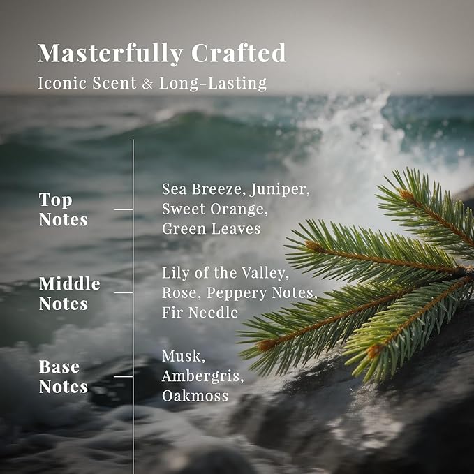 SU JUABA The R.C. Amber Zephyr Diffuser Oil Luxurious Hotel-Inspired Scent - Ambergris Sea Breeze Abies Fabri for Aromatherapy Machines & DIY Crafting - 4Fl Oz