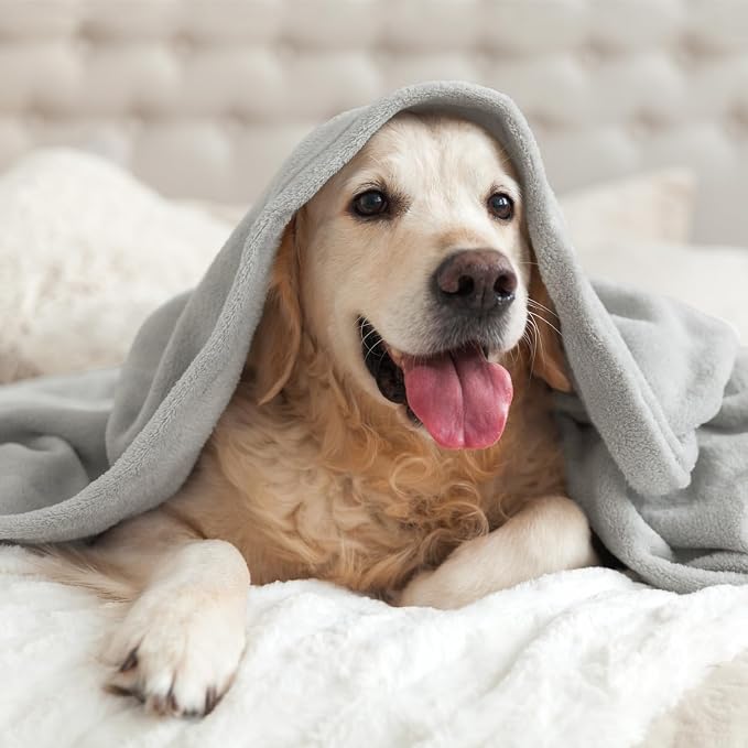 BEDELITE Fleece Blanket Soft Plush Throw for Couch Light Grey 50"x60" | Ultra Soft Fleece, Plush Microfiber, Lightweight Warmth, All Season Comfort, Fade Resistant, Machine Washable, Couch Sofa Bed