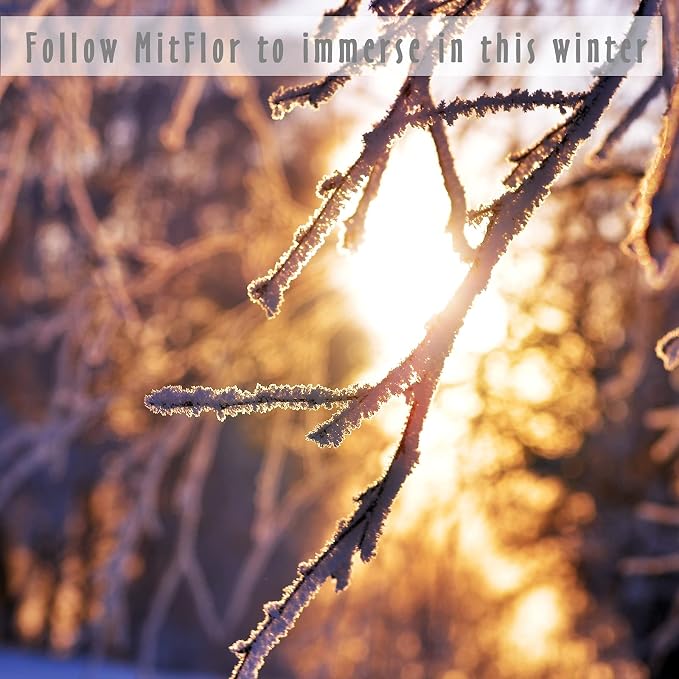 Fragrance Oils, MitFlor Winter Essential Oils for Diffusers for Home, 6 x10ml, Soap & Candle Making Scents, Premium Holiday Aromatherapy Gift Set -Frosty Fir, Hot Spring, Fireplace & More