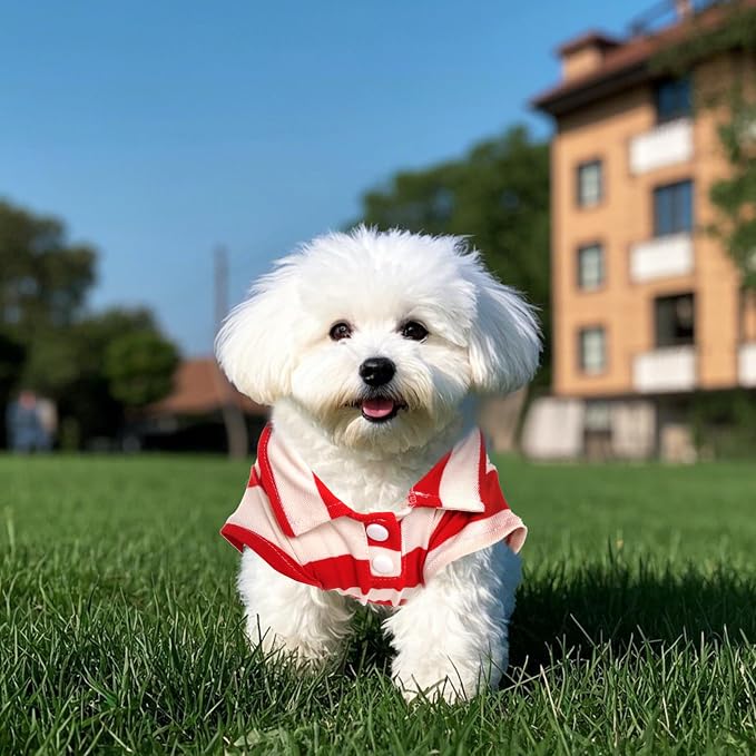 Pistha Dog Shirt Polo Shirt Striped Puppy Clothes for Boy Girl Pets | Dog Shirt Dog Clothes Pet Clothes with Summer Button Up for Small Medium Dogs Cats