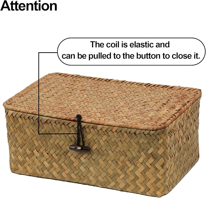 Set of 2 Wicker Basket with Lid, Seagrass Woven Basket for Storage | Decorative Storage Baskets Bins for Organizing Home, Shelf Storage Boxes, Rectangular Woven Design, Multipurpose Home Decor