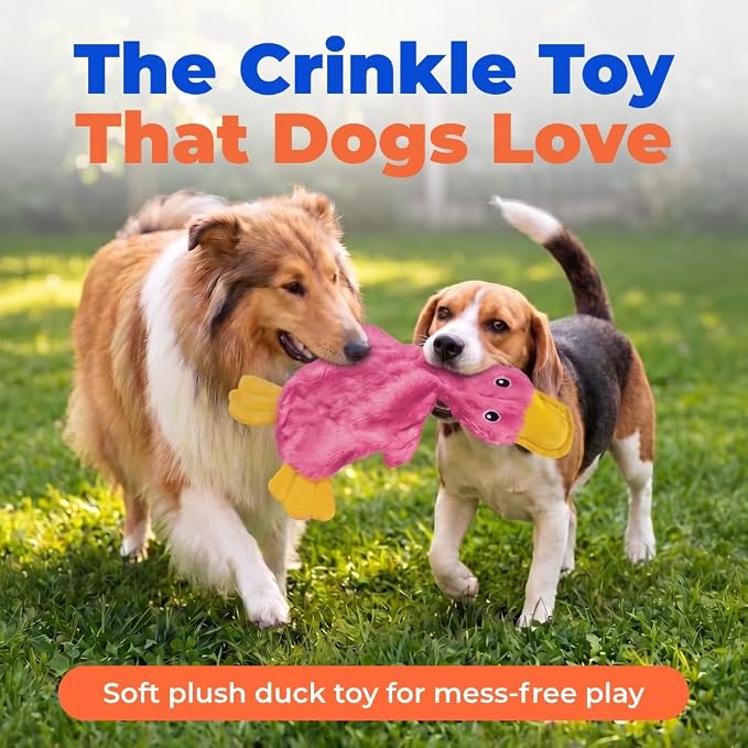 Best Pet Supplies Interactive Squeaky Dog Toy - Crinkle Duck, Pink | Stuffing Free Body, Soft, Squeaks & Crinkles, No Mess, Perfect for Moderate Chewers, Toss and Fetch Play