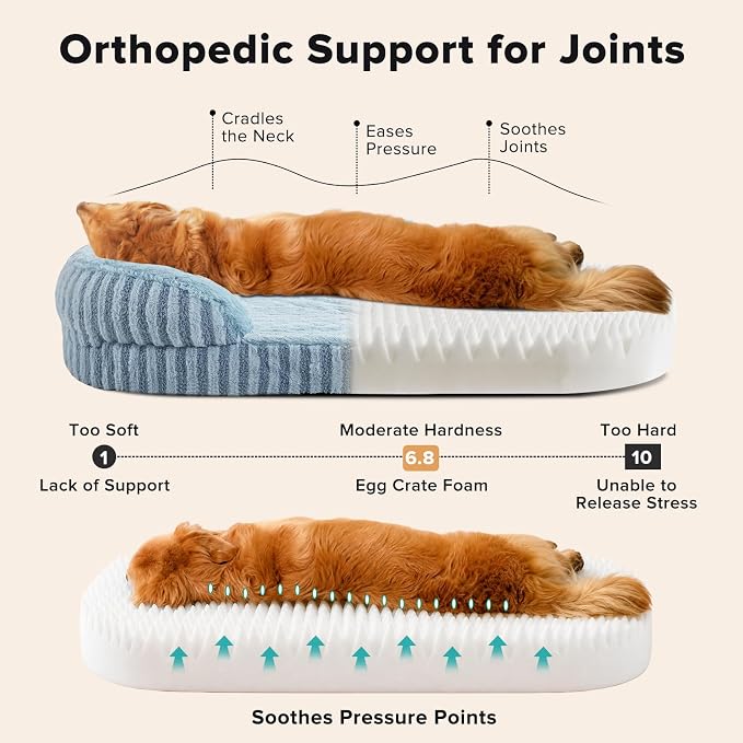MIXJOY Orthopedic Dog Beds Large Sized Dog,Extra Large Washable Dog Bed Waterproof Oval Dogs Bed with Removable Cover,Egg-Crate Foam Big Pet Bed Couch with Bolster,Non-Slip Bottom,XL 42"X32",Blue