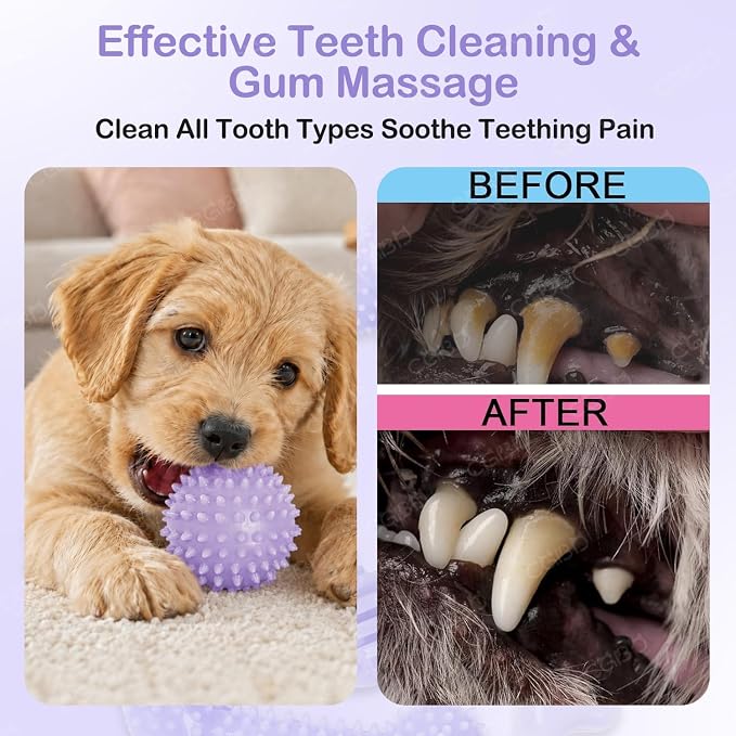 6 Pack Dog Chew Toys, Purple, Small Dog Teething Toys, Soft Durable Interactive Toys for Puppies