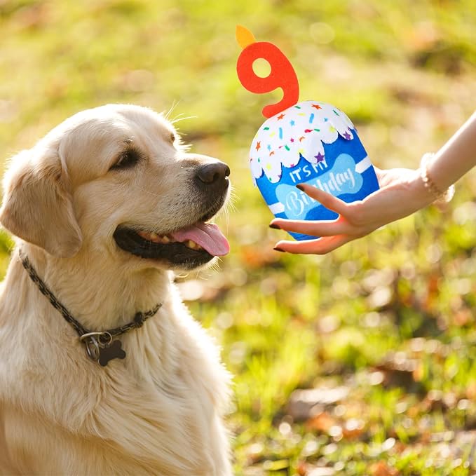 Dansydaisy Dog Birthday Cake Toy Squeaky Plush Gift,9th,Blue