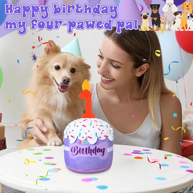 Dansydaisy Dog Birthday Cake Toy Squeaky Plush Gift,1st,Purple