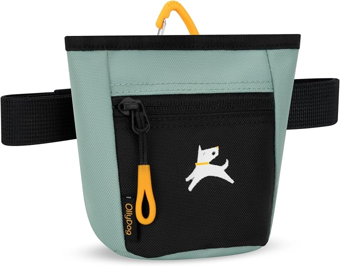OllyDog, Goodie Treat Bag, Dog Treat Training Pouch | Magnetic Closure | 3 Ways to Wear | Hands-Free Waist Belt | Water-Resistant Recycled Vegan Fabric (Surf)