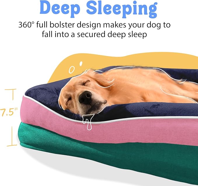 Orthopedic Washable XXL Dog Bed for Extra Large Dogs | Egg Crate Foam, 4-Sided Bolster Support, Waterproof Liner, Non-Slip Bottom, Removable Bolster Cover, 45 x 35 Inch