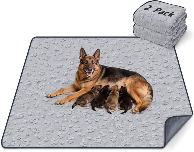 LOOBANI 2 Pack Extra Large Washable Pee Pads for Dogs 48"x48", Gray | Non-Slip Reusable Dog Mat, Super Absorbent & Waterproof Whelping Pads For Floor, Bed, Incontinence, Housebreak, Leak-Proof