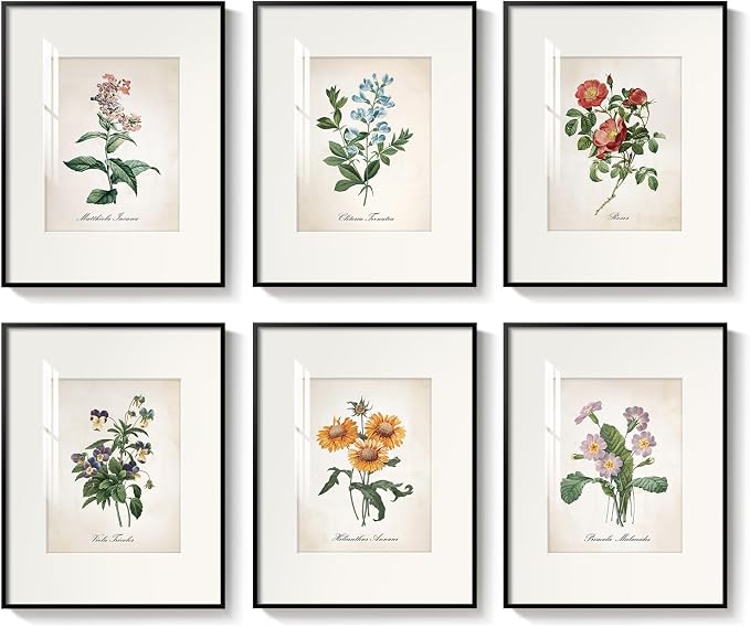 Framed Botanical Floral Wall Art, Set of 6 Vintage Wildflower Prints with Mat, Rustic Farmhouse Nature Flowers Artwork for Bedroom Living Room Hallway Dining Room Modern Neutral Home Decor, 11x14 In