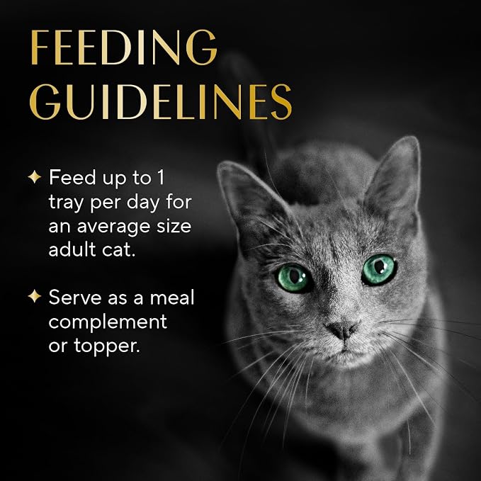 Sheba Selections Filets Wet Cat Food Complement, Chicken, 1.3 oz, 12 ct | Grain-free, Real chicken #1 ingredient, no corn or soy, no artificial flavors, peel & serve topper or treat, 1.3 oz. Cups