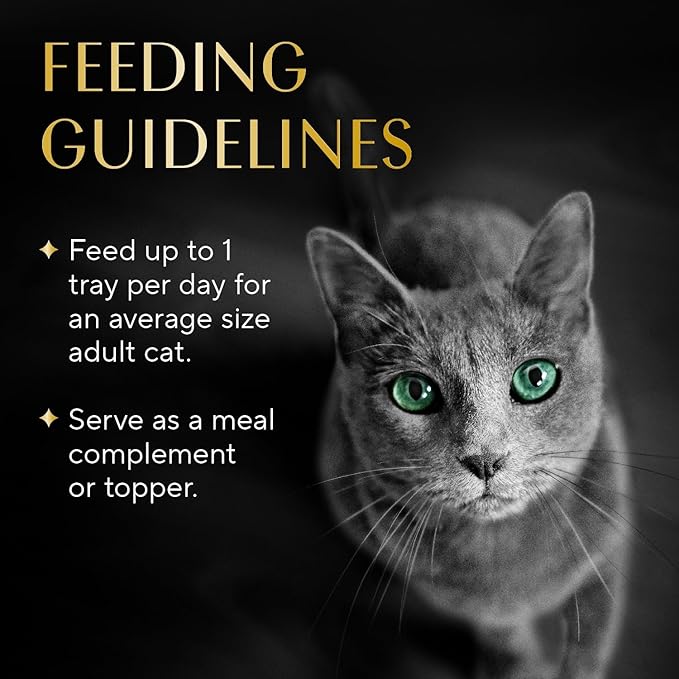 Sheba Selections Wet Cat Food Complement, Chicken & Shrimp, 1.3 oz, 12 ct | Grain-free, Real chicken #1 ingredient, tender pieces in broth, meal topper or complement, no artificial flavors, 1.3 oz cups