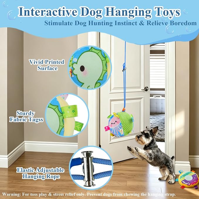 Colorful Squeaky Hanging Dog Toy with Suction Cup for Small Dogs | Bungee Tether, Crinkle Bell Ball, Bouncing Self-Play Toy, Door Frame Mounted, Interactive Fetch for Puppy Teething & Exercise
