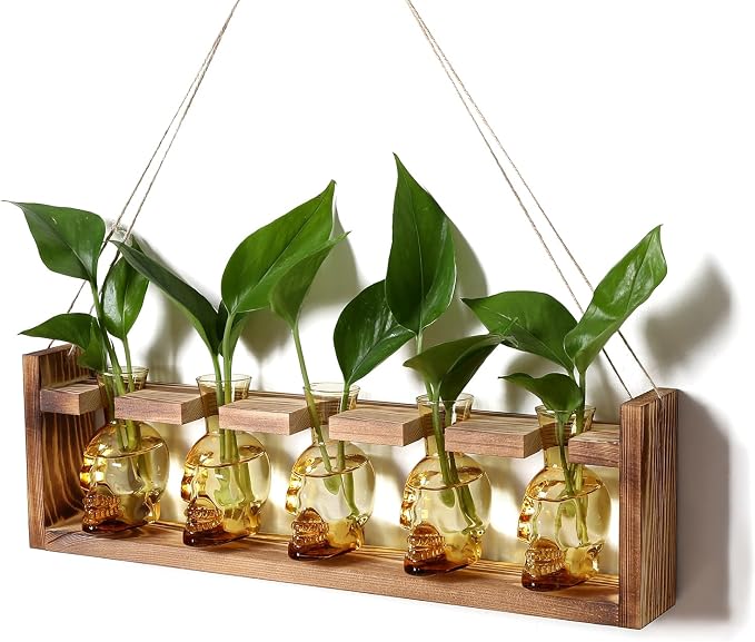 Plant Terrarium Propagation Stations Halloween Skull Planter Vase Skulls | decor With Wooden Stand Gife for Father - 5 Vases