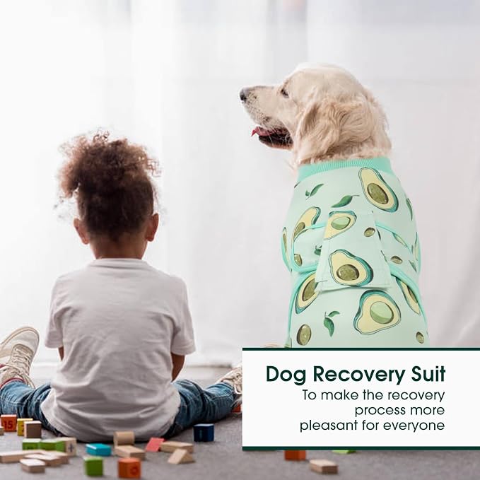Kuoser Recovery Suit for Dogs Cats, Soft Dog Surgery Suit Female Male Spay | Professional Dog Onesie for Surgery, Substitute E-Collar & Cone, Prevent Licking Dog surgical suit Pet Neuter Suit