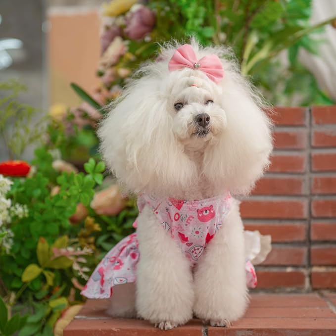 CuteBone Dog Mesh Dress Puppy Sundress Pet Outfit Summer Fashion for Small Dogs Girl Cat Clothes