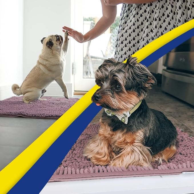 Muddy Mat® | Super Water Absorbent Door Mat Indoor, Microfiber Quick Dry Chenille Entryway Rug, Slip Resistant Front Door Mat, Indoor Mats for Entryway, Machine Washable Pet Rug, Plum 2ft x 4ft