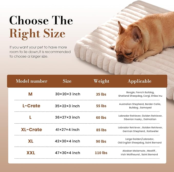 Medium Dog Bed Orthopedic Foam with Waterproof Lining | Egg crate foam for joint support. Soft plush surface. Non-slip bottom. Removable & machine washable cover. OEKO-TEX certified