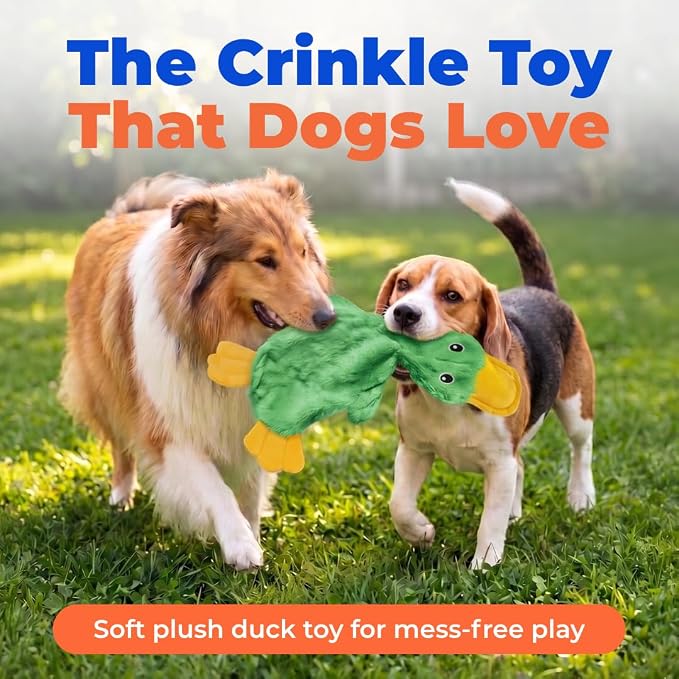 Best Pet Supplies Interactive Squeaky Dog Toy - Crinkle Duck, Green | Stuffing Free Body, Soft, Squeaks & Crinkles, No Mess, Perfect for Moderate Chewers, Toss and Fetch Play