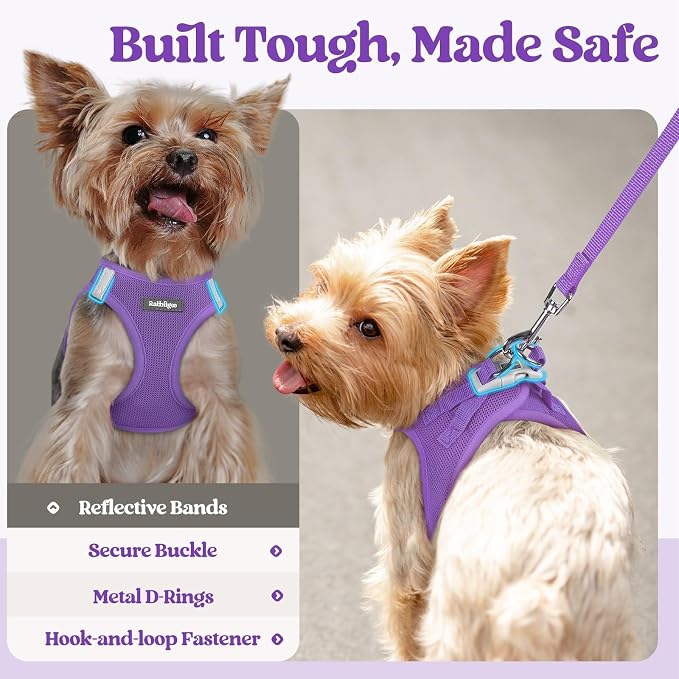 rabbitgoo Dog Harness Small Sized and Leash Set, Step-in Puppy Pet Vest | Light, Soft, Breathable Air Mesh, Easy on and Remove with Hook & Loop, Secure Reflective for Walking, Purple XXS
