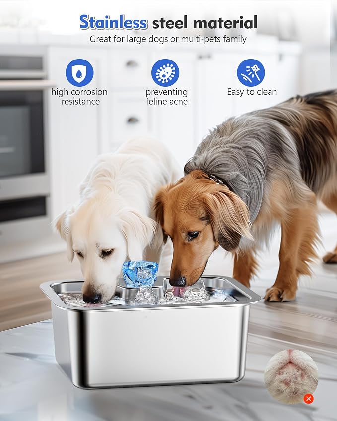 3 Gallon Stainless Steel Dog Water Fountain, Large Dogs, 2 Filters | 3-gallon stainless steel dog water fountain with quiet flow, easy-clean parts, 2 filters, plus a shallow bowl for large dogs.