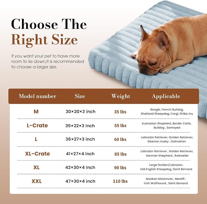 Medium Dog Bed Orthopedic Foam with Waterproof Lining | Egg crate foam for joint support. Soft plush surface. Non-slip bottom. Removable & machine washable cover. OEKO-TEX certified