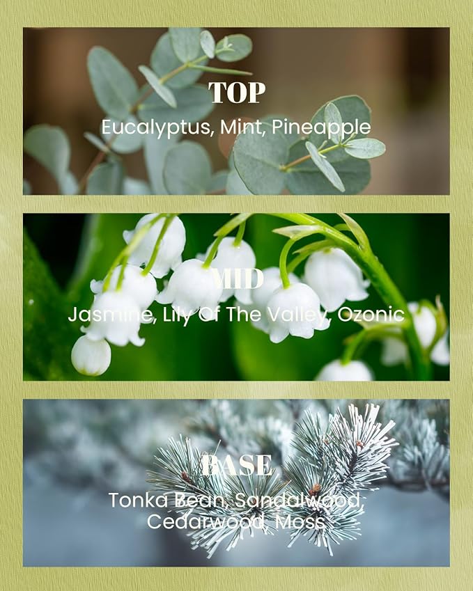 M&SENSE Eucalyptus Mint Vegan Soy Candles, 10oz | 42-Hour Long Burning, Summer Home Fragrance, Stress Relief Calming Meditation, Housewarming Gifts
