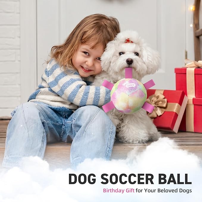 QDAN Dog Soccer Ball with Straps, Small Puppy Durable Dog Toys, 5 Inch