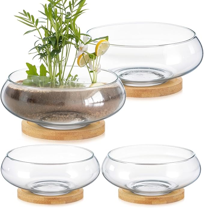 4 Sets Glass Planter Bowls for Flowers with Tray 6'' Round Glass Vase Bowl Hydroponic Lotus Planter Pot Propagation Vases Fish Bowl for Plants Indoor Windowsill Kitchen Desktop Wedding Decor