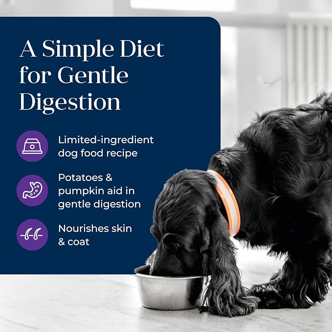 Blue Buffalo Basics Turkey Adult Grain-Free Wet Dog Food, 12.5 oz, 12 ct | Skin & Stomach Care, Real Turkey #1 Ingredient, Limited Ingredient Diet, Antioxidant-Rich LifeSource Bits, Skin & Coat Health