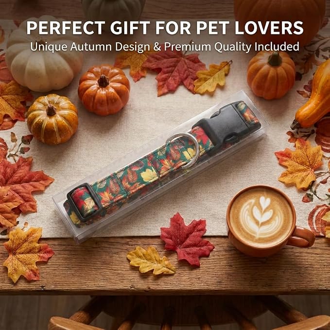 Fall Dog Collar, Puppy Collar for Small Dogs, S