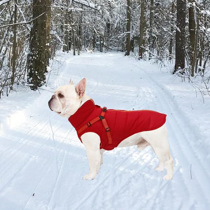 Geyecete Winter Warm Coat Waterproof Dog Winter Jacket with Harness Traction Belt,Windproof Pet Outdoor Jacket Dog Autumn-Red-XL