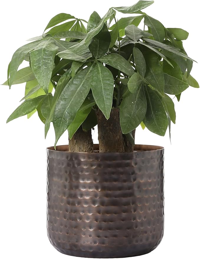 MyGift 6 Inch Copper Metal Vase, Hammered Flower Pot, Handcrafted | Elegant hammered finish brings artisan character to floral arrangements, succulents, and tabletop decorative displays