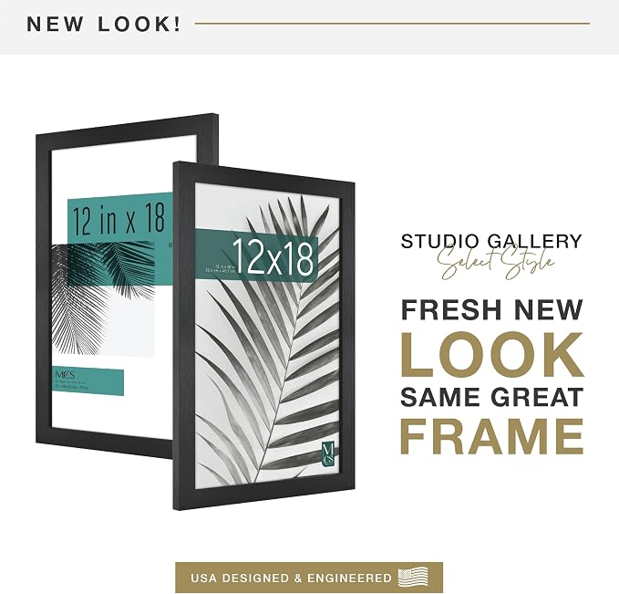 MCS Studio Gallery 12x18 Picture Frame Black Woodgrain Engineered Wood, Rectangle Photo Frame for Photos, Posters & Art Prints (1-Pack)