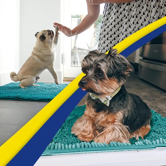 Muddy Mat® | Super Water Absorbent Door Mat Indoor, Microfiber Quick Dry Chenille Entryway Rug, Slip Resistant Front Door Mat, Indoor Mats for Entryway, Machine Washable Pet Rug, Teal 24" x 120"