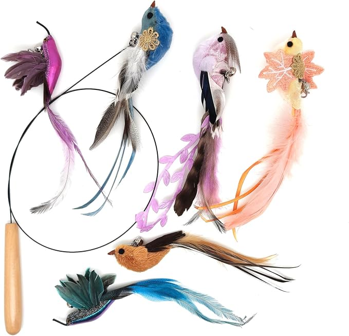 miwoowim 35" Steel Wire Cat Wand Toy & 6PCS Realistic Feather Bird Refills | Sturdy wooden handle for easy grip.Handcrafted birds with bells.Promotes active play, healthy exercise & bonding