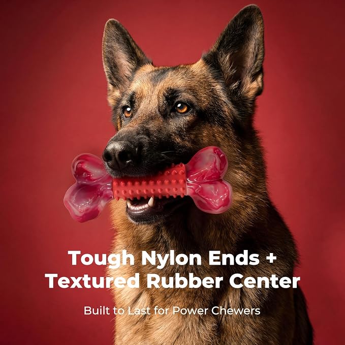 2-Pack Tough Dog Toys for Aggressive Chewers: Beef Flavored Long Lasting Dog Bones for Large Dogs, Heavy Duty Nylon & Rubber Dog Chew Toys to Keep Them Busy, Medium & Large Breed, Red