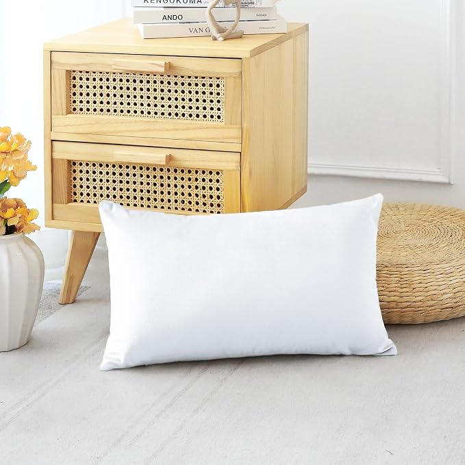 Artscope Set of 1 Luxury Velvet Pillow Covers ONLY Cover Decorative Rectangle Pillowcases Soft Solid Cushion Cases for Couch Sofa Bedroom Car Decor 12x20 Inch White (ONLY Cover)