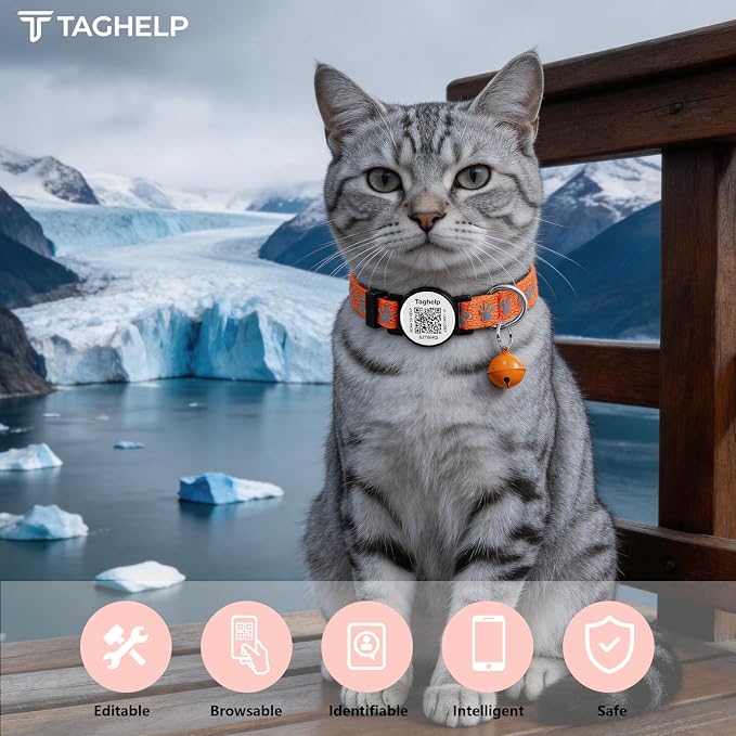 Smart Safety Cat Collar 2-Pack: Luminous Night Glow & QR Code Pet ID Tag, Breakaway Reflective Adjustable Collar (7-12.5”) for Indoor/Outdoor Cats(Blue & orenge)