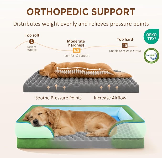 Comfort Expression Orthopedic Dog Bed for Extra Large Dogs with Bolster | Waterproof Dog Couch Bed with Washable Cover & Non-Slip Bottom, Supportive Egg Crate Foam XL Pet Bed, 45x35 Inch
